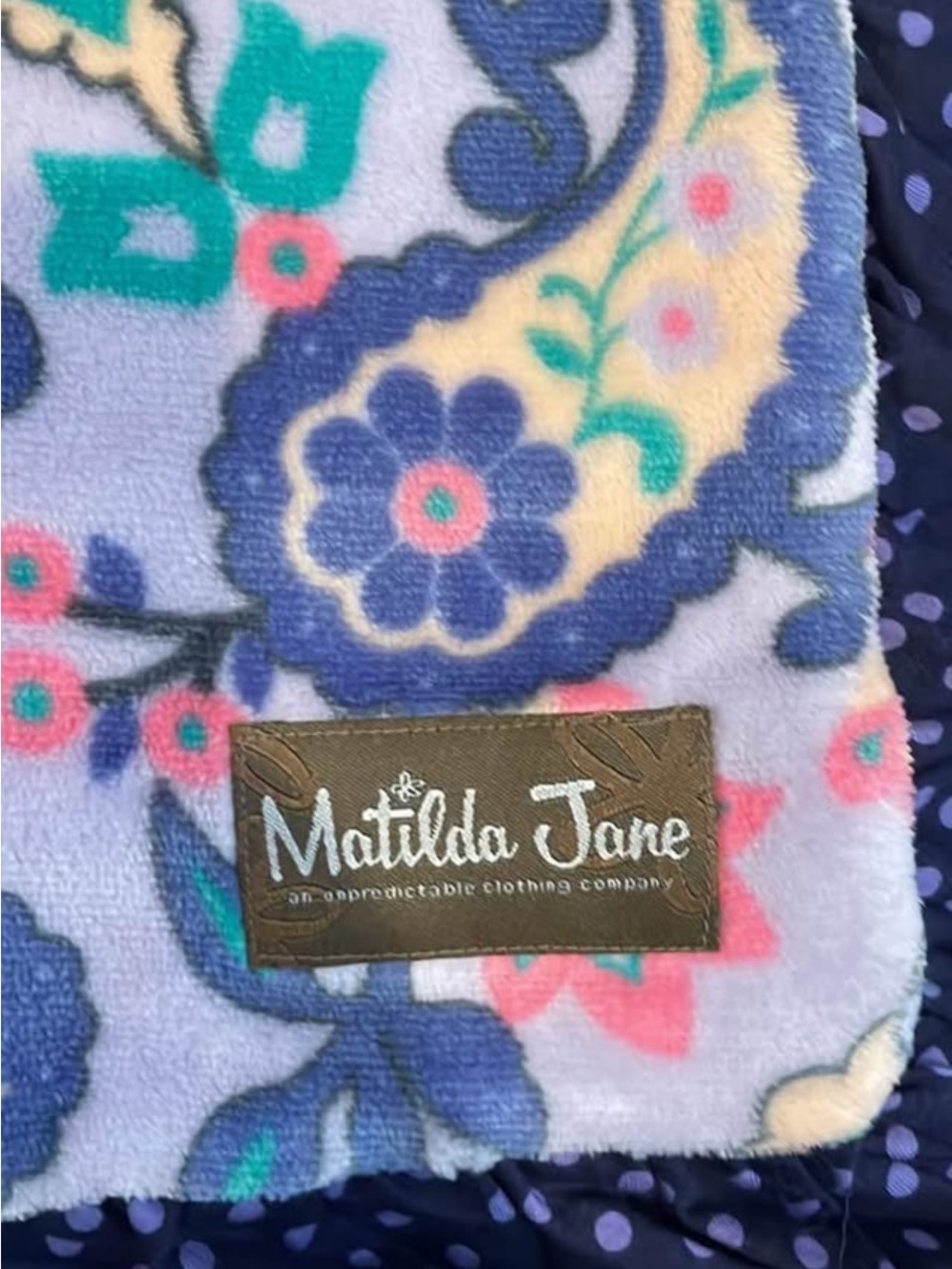 Matilda Jane Floral Paisley Plush Throw in Blue, Pink, Yellow, Teal